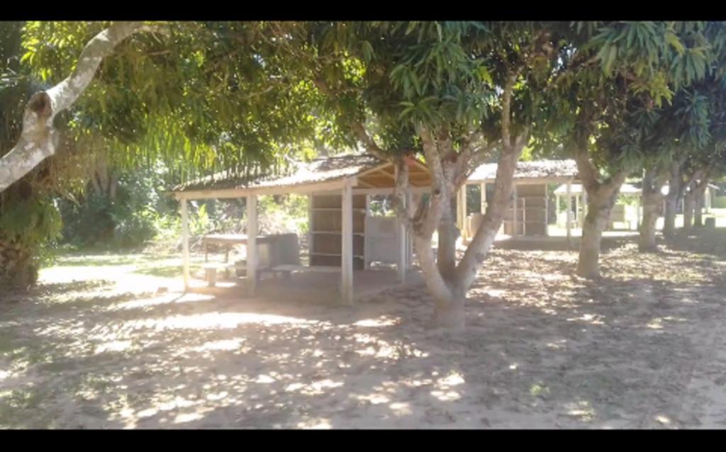  Porto Jofre Ocelotnatur Camping