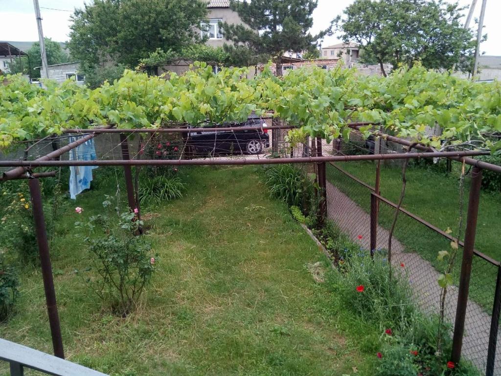 Zahrada ubytování wine valley