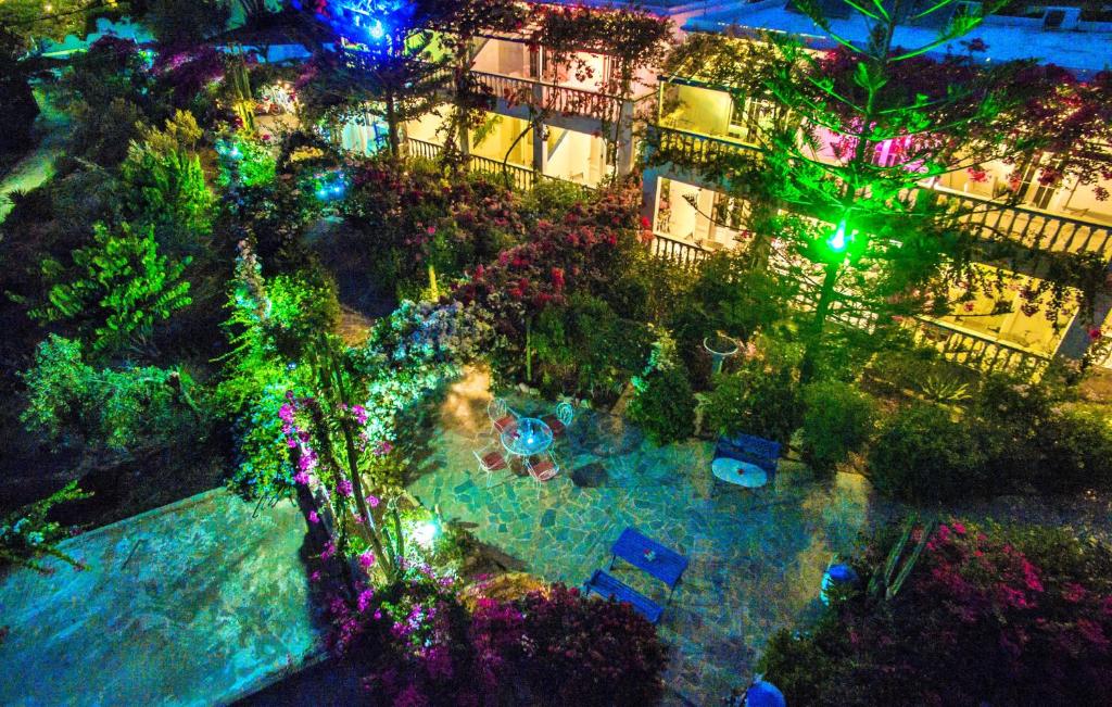 einen Blick über den Garten in der Nacht mit Licht in der Unterkunft Angelika in Alinda