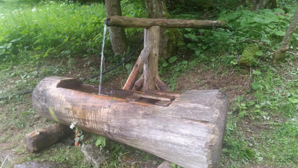 Fotografie z fotogalerie ubytování il bosco in casa v destinaci Telve