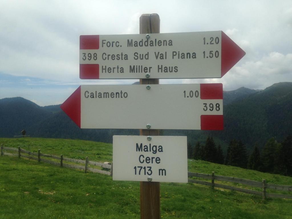 Příroda nedaleko apartmánu