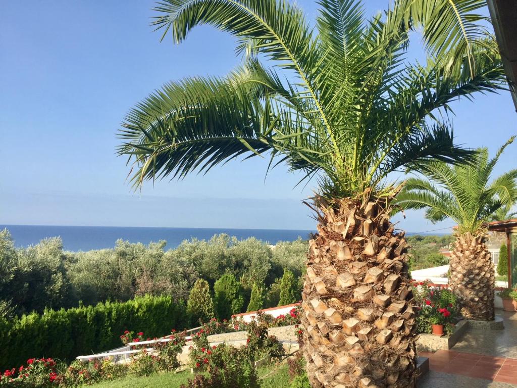 uma palmeira com o oceano no fundo em Summerhouse Anastasia em Alexandroúpolis