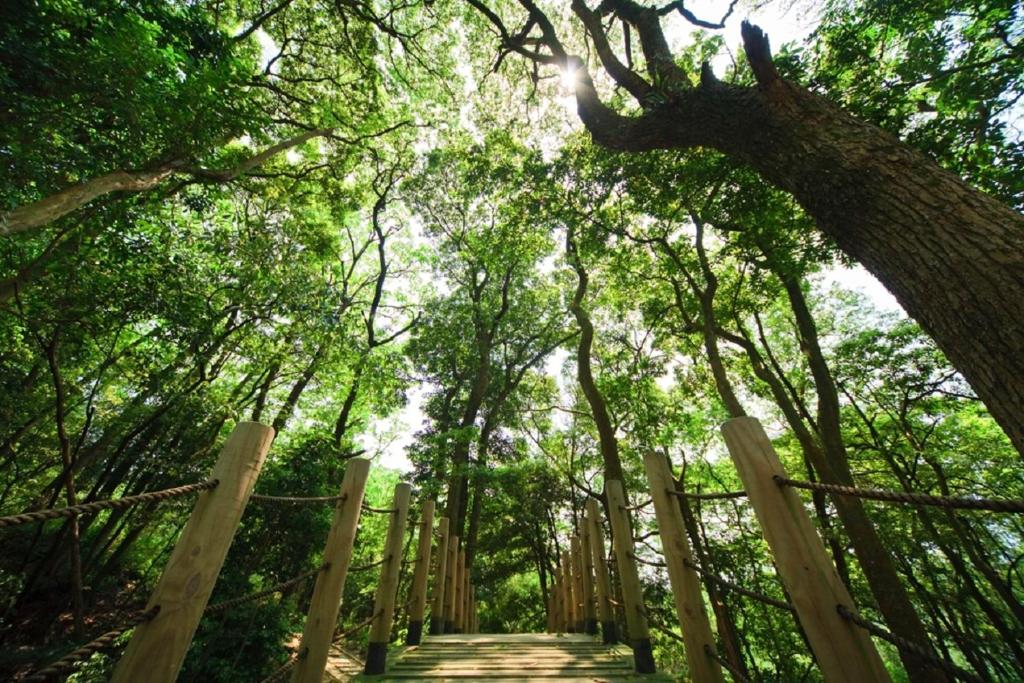 住宿相片集