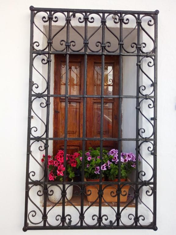 La Casa del Agua - 19