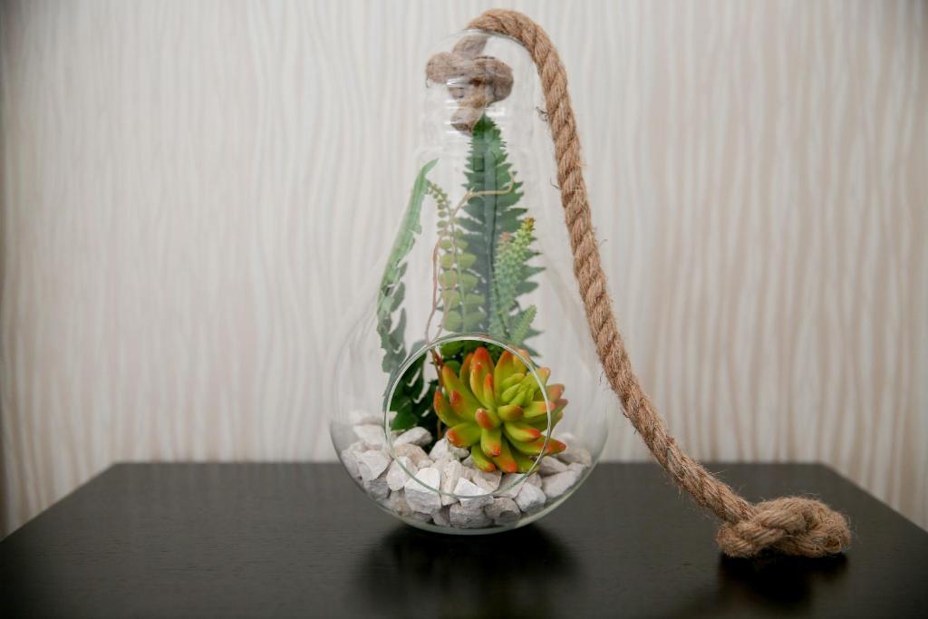 Quinta da Corujeira - 4