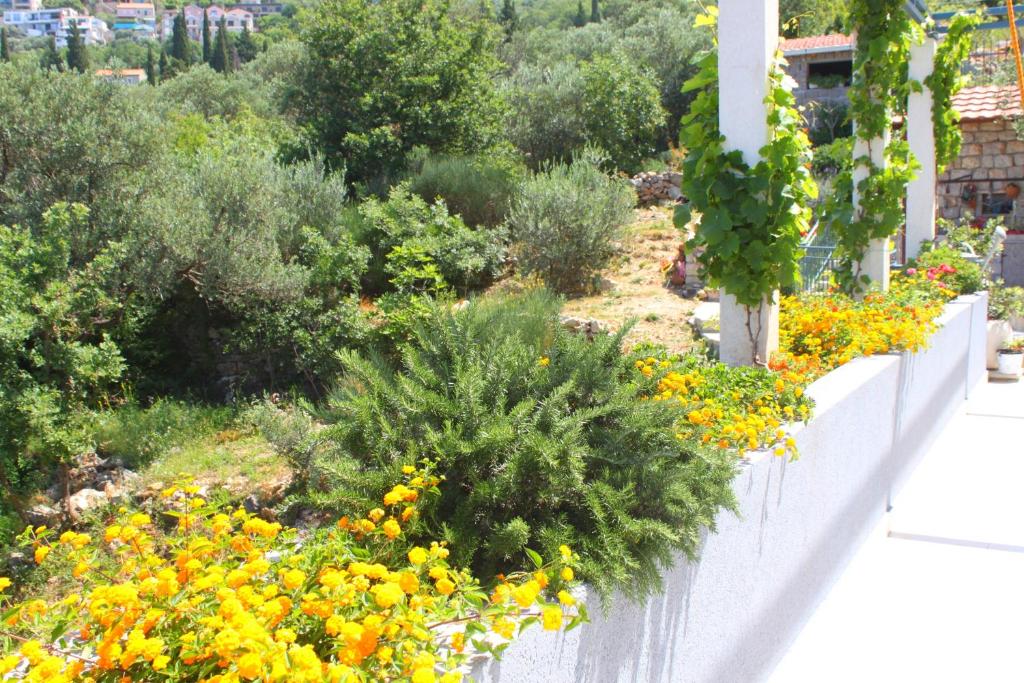 Blue Mediterranean Apartments - 16