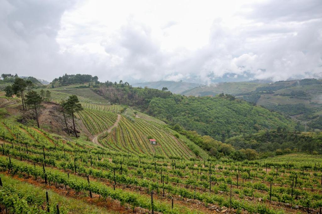 Quinta da Corujeira - 14