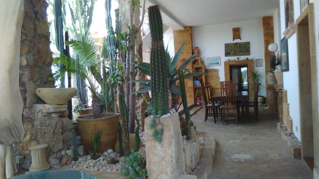 Patio nebo venkovní prostory v ubytování Felline In Bed&Breakfast Dimora di Charme el Salento