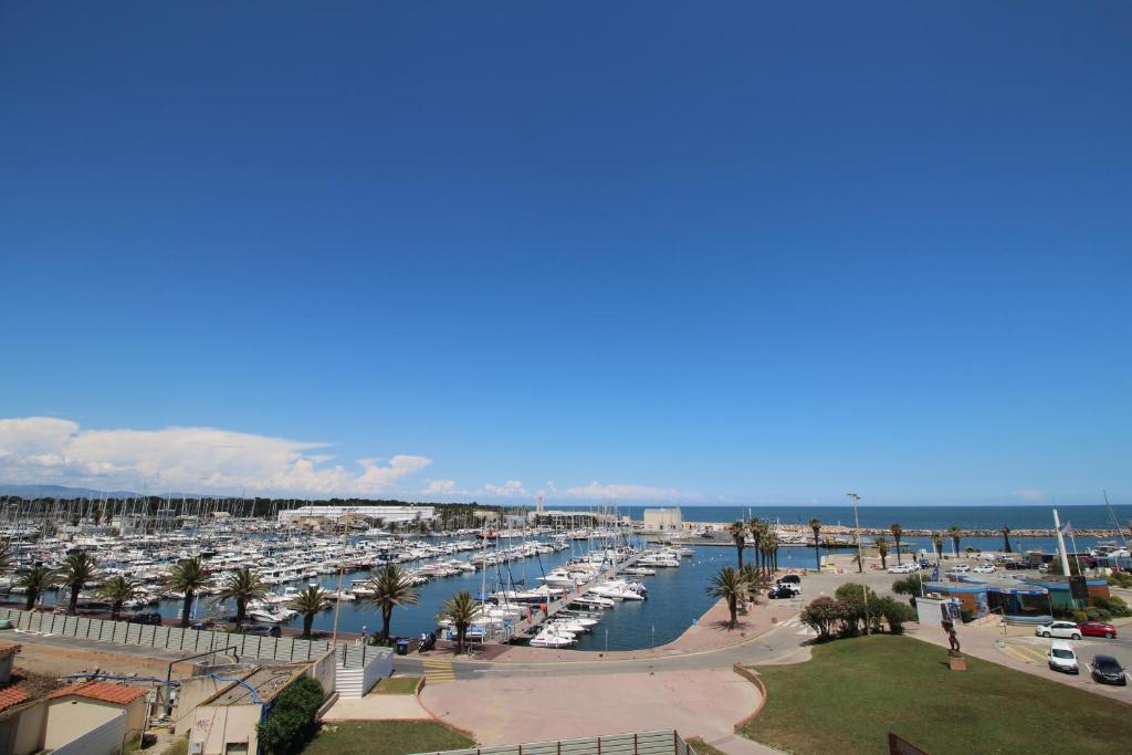 カネ・アン・ルシヨンにあるTRIDENT - T2 avec vue sur la marina et à deux pas de la plageの水中の船がたくさんあるマリーナ