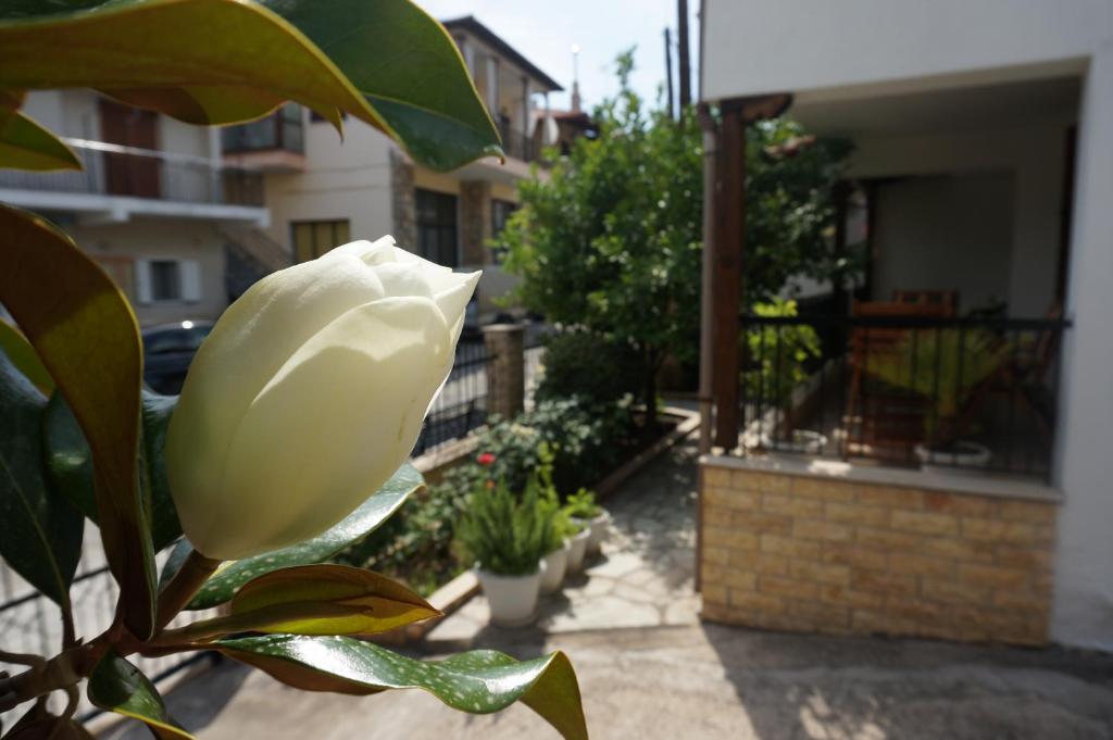 Balkón nebo terasa v ubytování Magnolia