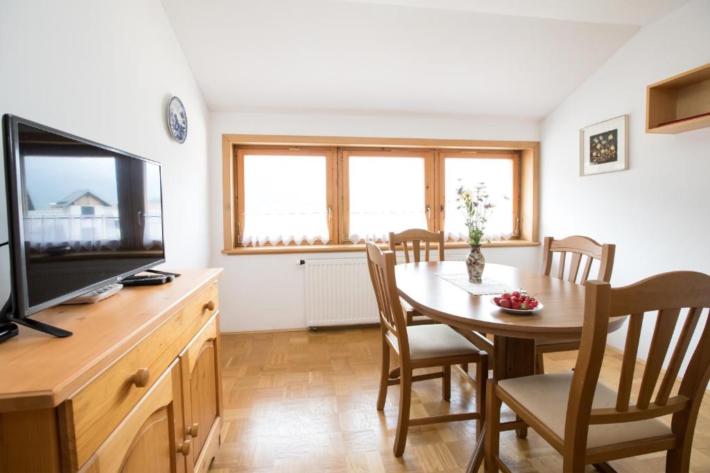 TV a/nebo společenská místnost v ubytování Apartmaji Katrnjek