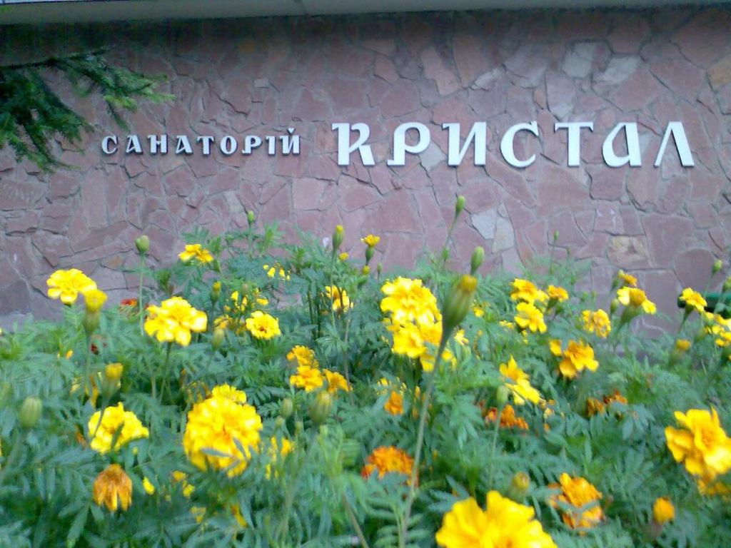 a field of yellow flowers in front of a sign at Sanatoriy Kristall in Truskavets