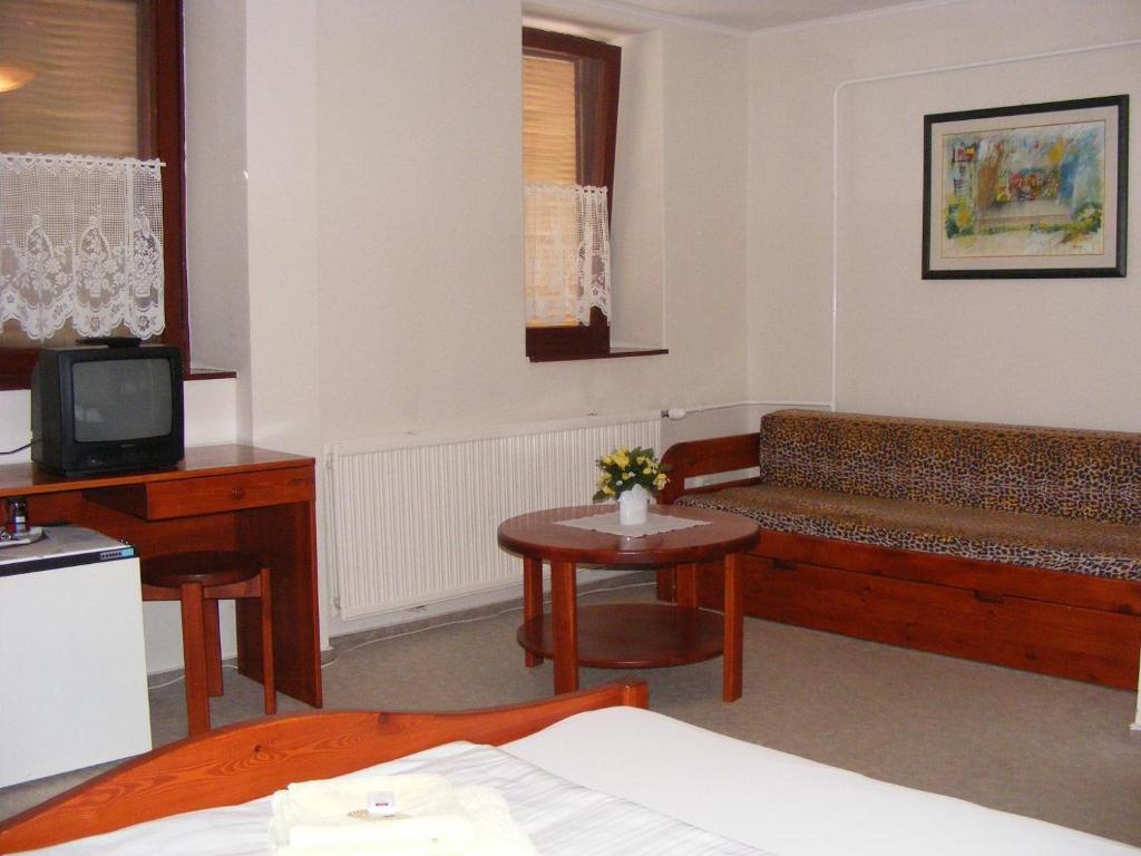 TV a/nebo společenská místnost v ubytování Hotel Fama