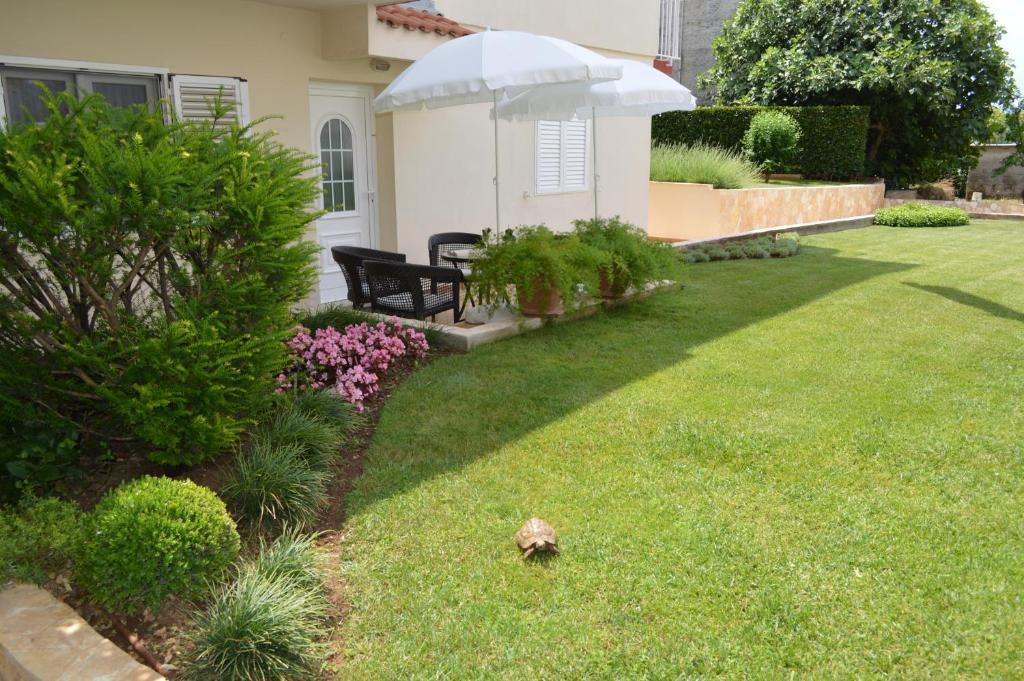 Zahrada ubytování Apartmani Milin