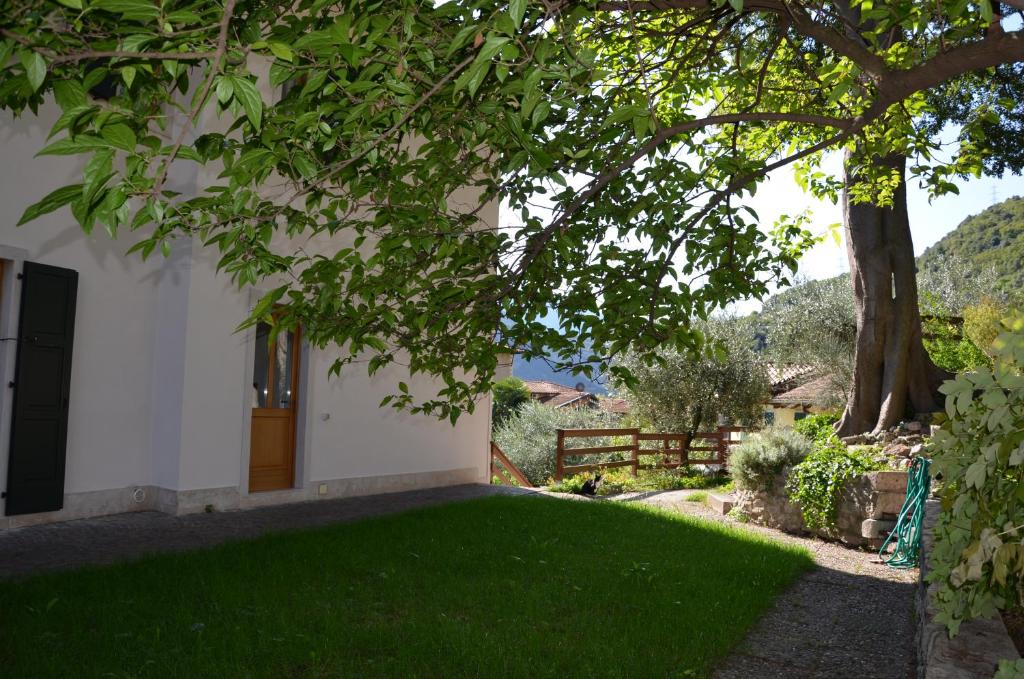 Zahrada ubytování Hotel Garnì Delle Rose
