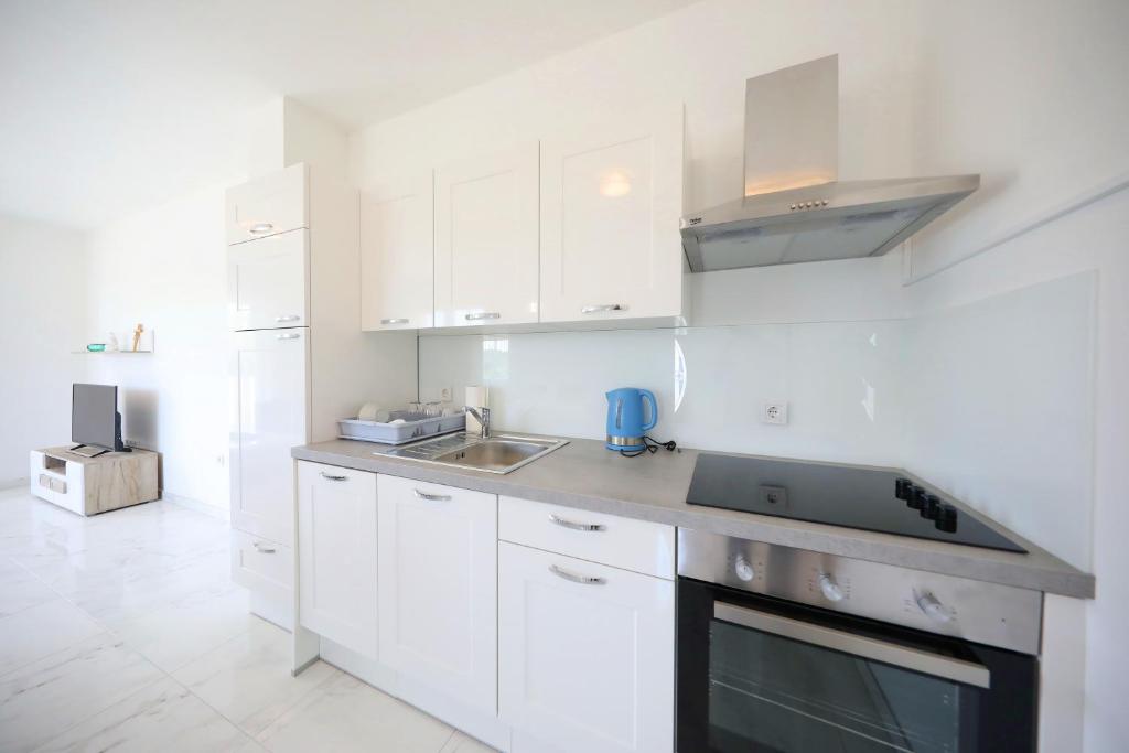 Kuchyňa alebo kuchynka v ubytovaní Apartmani Vlado Mitar