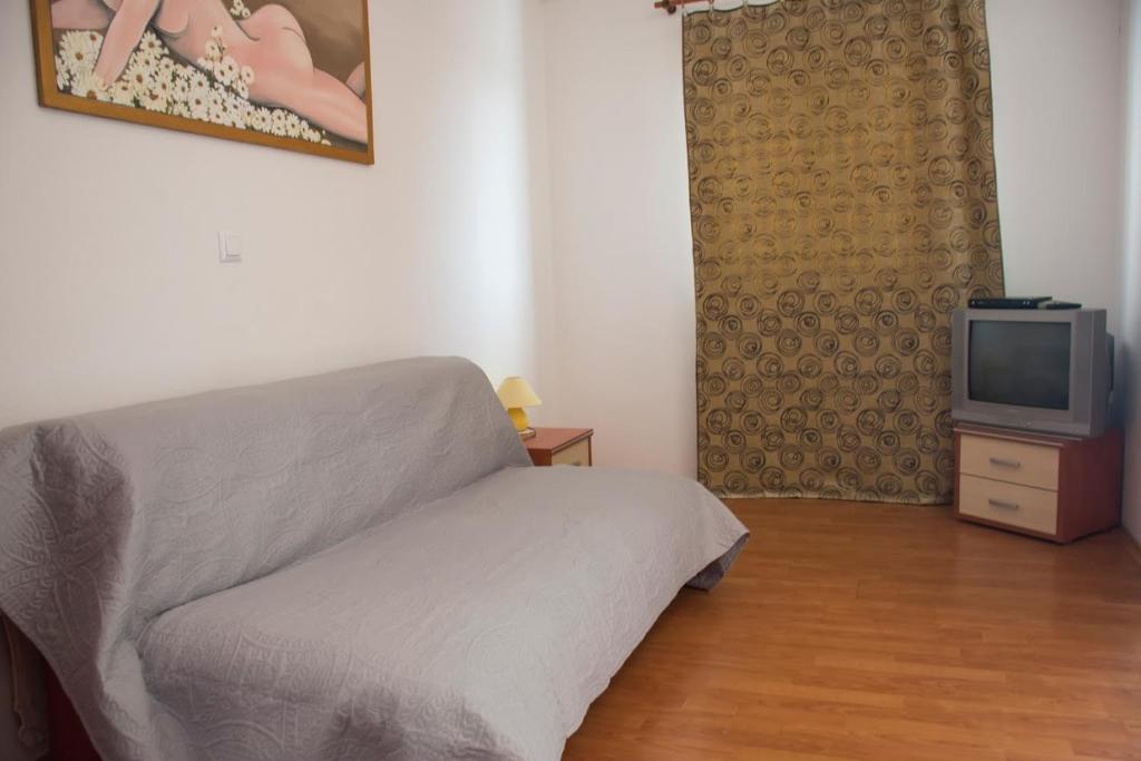 TV a/nebo společenská místnost v ubytování Apartments Boćin Rosso