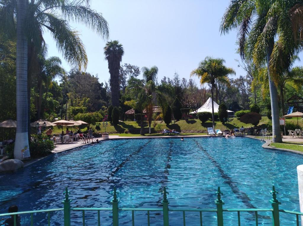 - une piscine dans un complexe avec des palmiers dans l'établissement Posada Los Colorines, à Zinapécuaro de Figueroa