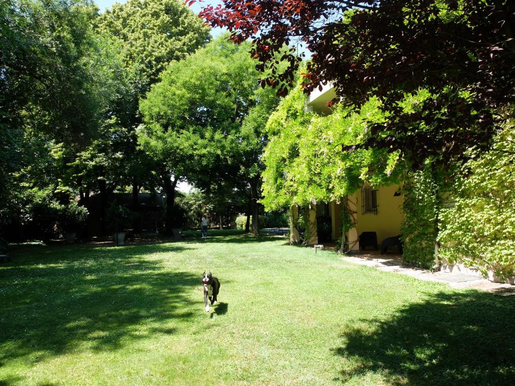 Ogród w obiekcie B&B Villa dei Calchi - Suite Room di Charme