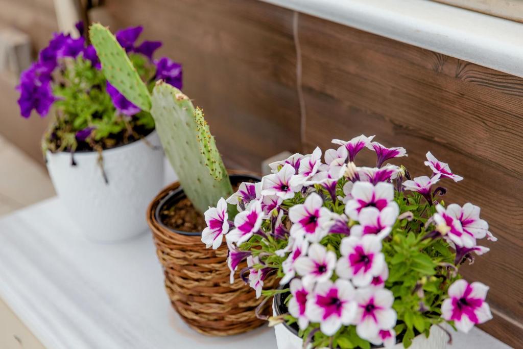 Comfy Boutique Hotel - Resim 23