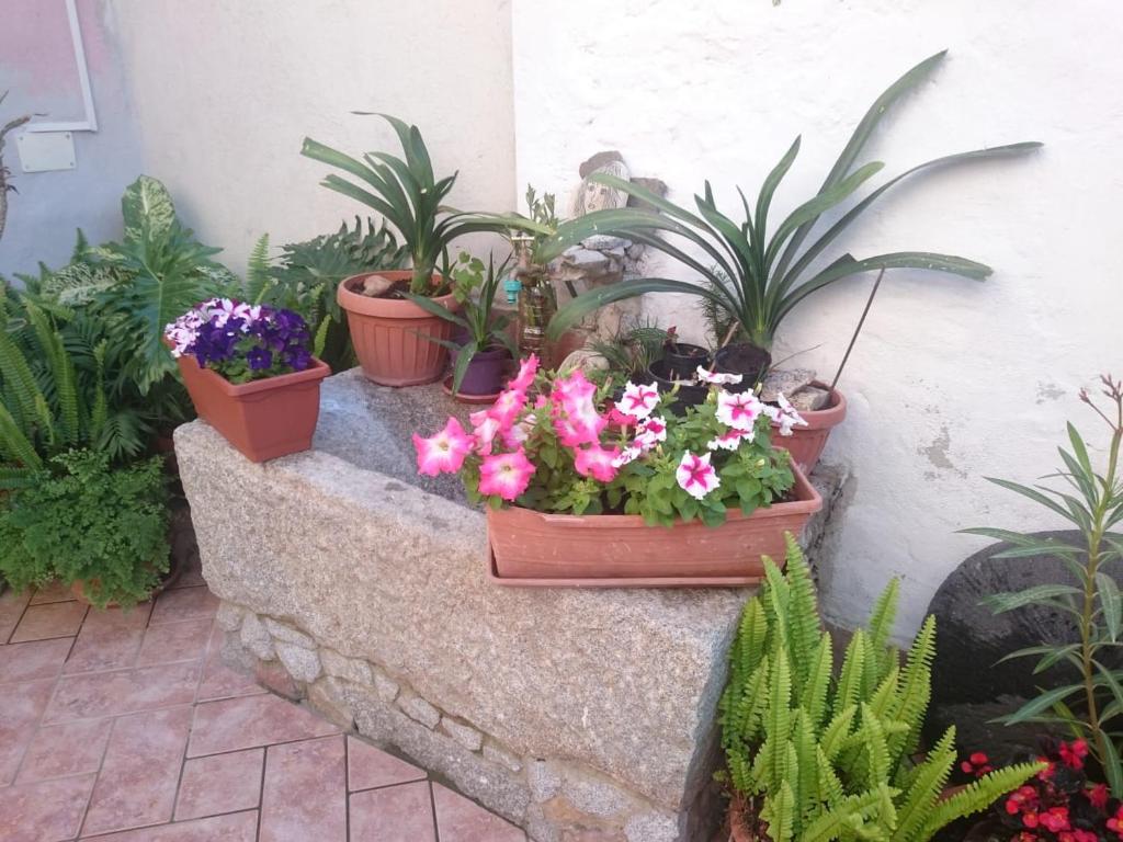 Zahrada ubytování B&B Beranu