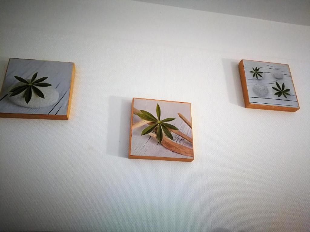 Fotografie z fotogalerie ubytování Terrasses de l'Aven v destinaci Orgnac-lʼAven