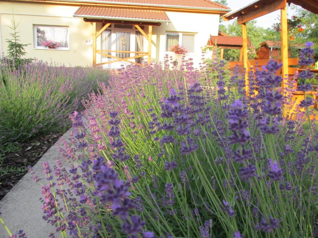 un giardino con fiori viola di fronte a una casa di Levendula Vendégház a Tiszaszőlős