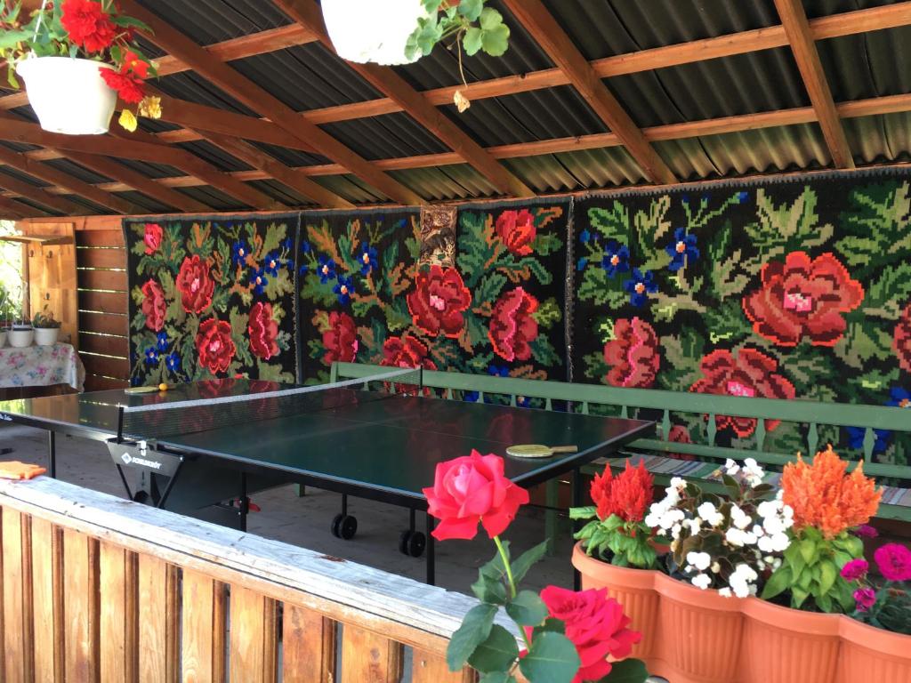 バドゥ・イゼイにあるPensiunea Ileana Telepteanの花の部屋の卓球台
