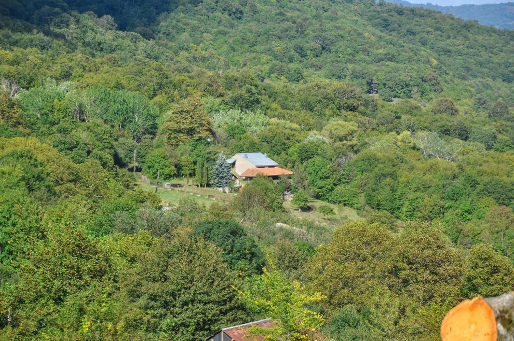 Φυσικό τοπίο κοντά σε αυτή η εξοχική κατοικία