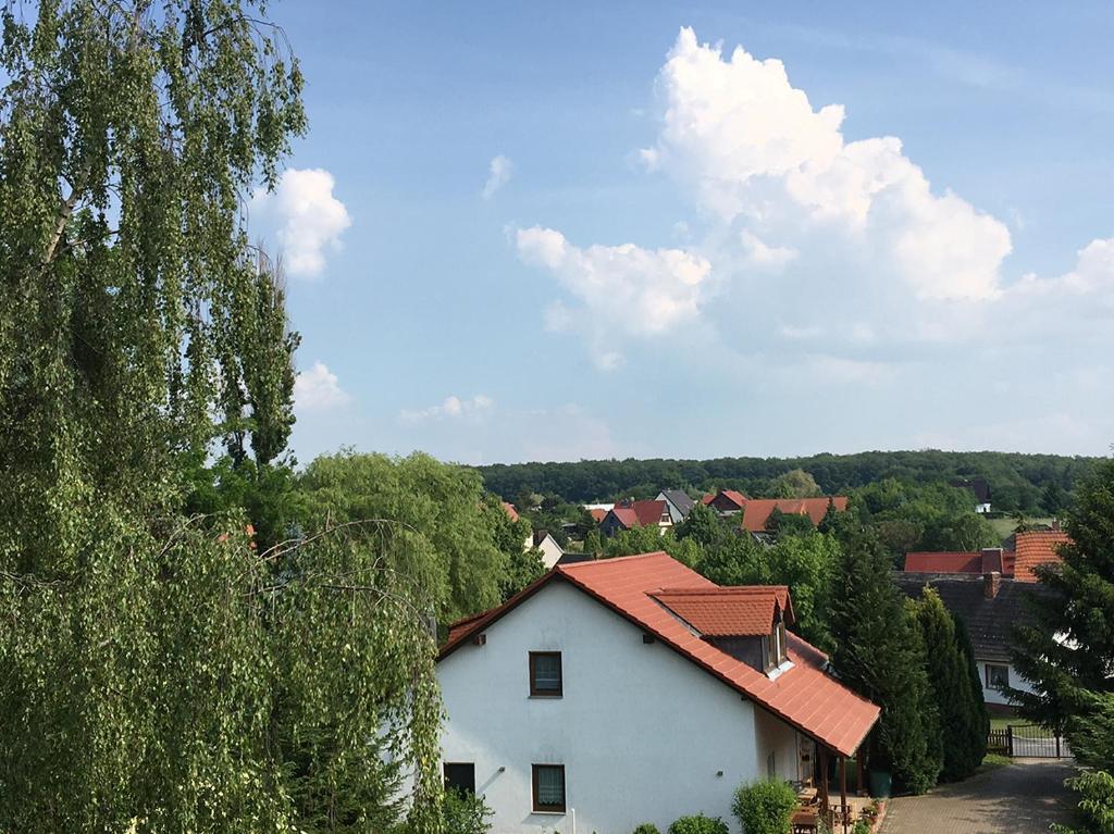 Příroda nedaleko apartmánu