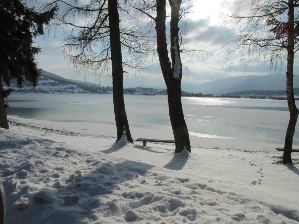 Příroda nedaleko apartmánu