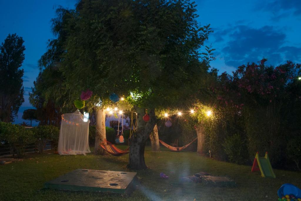 Delfini Hotel - Resim 41