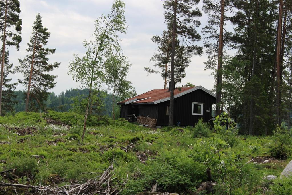 a small black cabin in a forest with trees at Fossheim Two-Bedroom Cottage in Birkeland