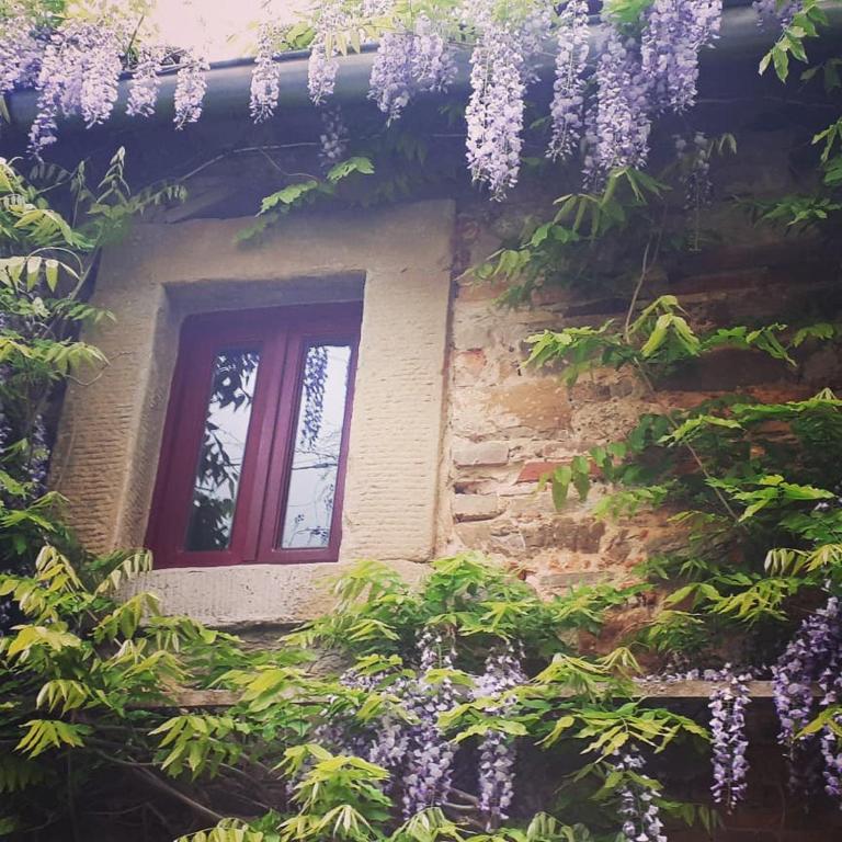 Zahrada ubytování Podere Casina Rossa