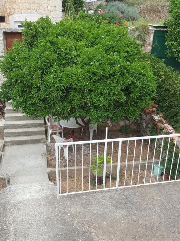 a white fence in front of a tree at Apartmani Sole in Vis