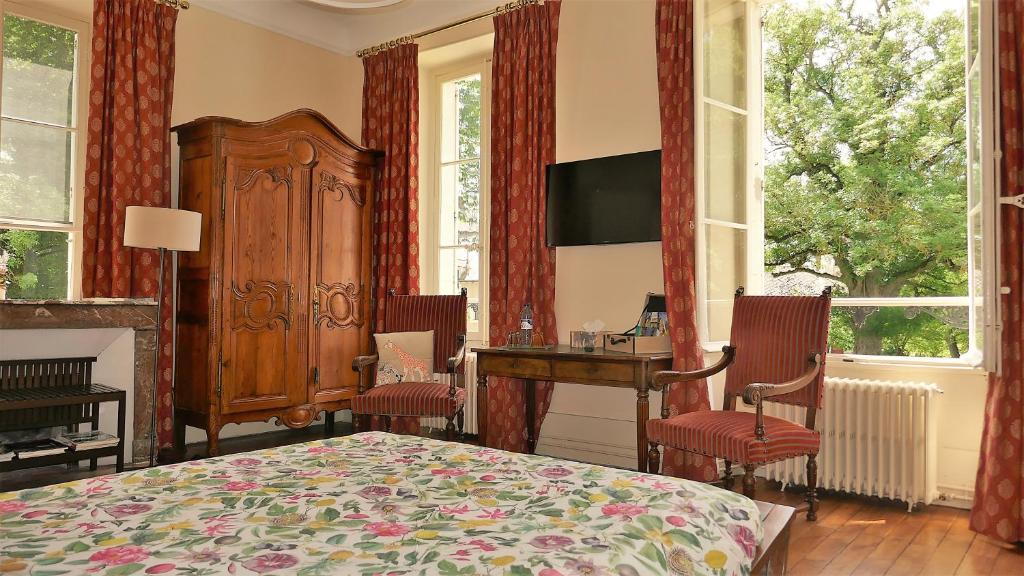 TV a/nebo společenská místnost v ubytování B&B Château de Preuil