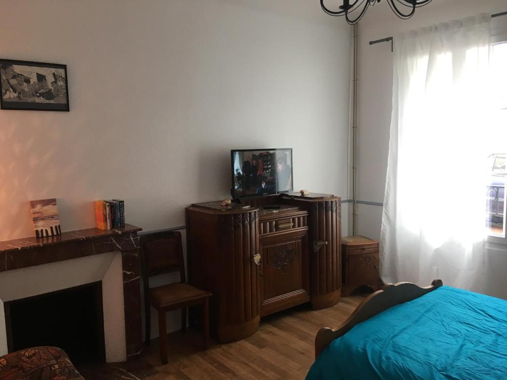 1 dormitorio con TV en un tocador y 1 cama en Le Studio Gambetta, en Saint-Aignan