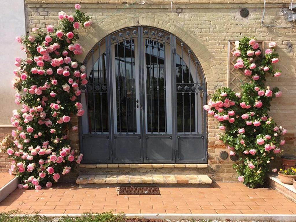 Monterubbiano的住宿－Casa vacanze a Rubbianello，大楼前有粉红色玫瑰的黑色门