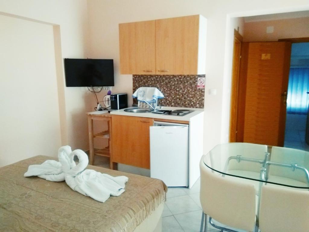 Kuchyň nebo kuchyňský kout v ubytování ApartHotel Viola