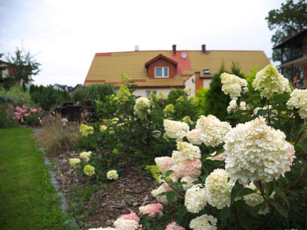 a garden with white and pink flowers in front of a house at Agroturystyka Pod Jesionem in Władysławowo