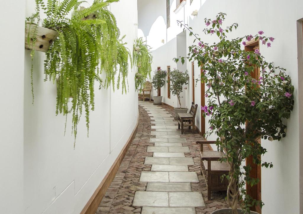 Zahrada ubytování Hotel Viñas Queirolo