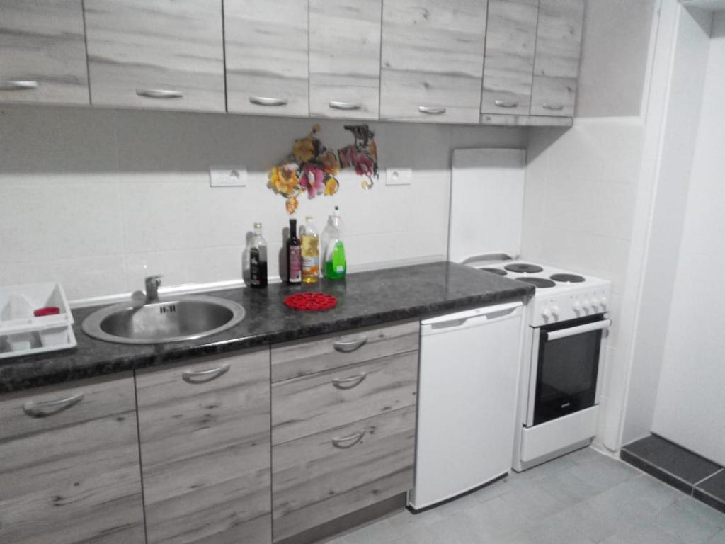 Kuchyň nebo kuchyňský kout v ubytování Apartments Stevanovic