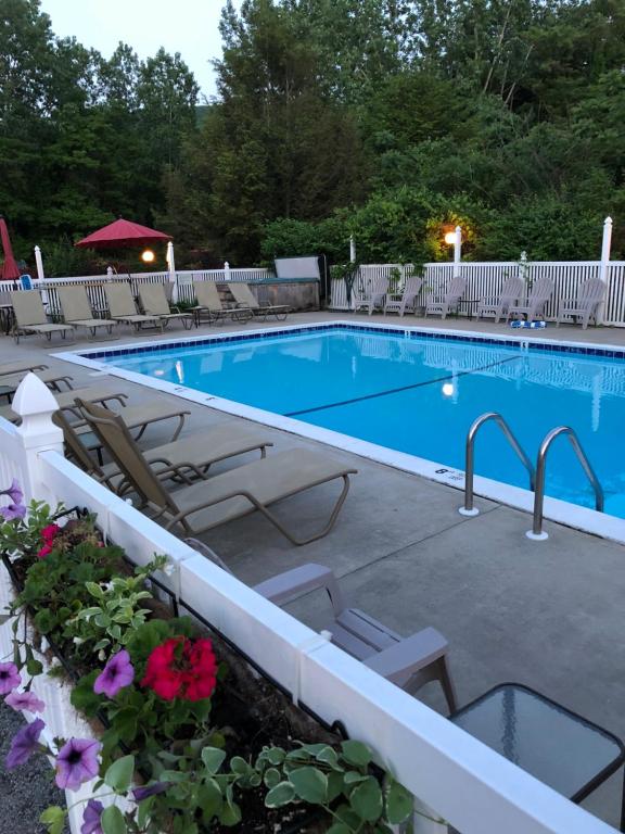 a large swimming pool with chairs and flowers at Lyn Aire Motel - Lake George in Lake George