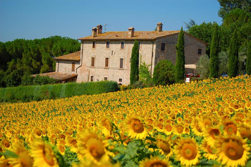 A garden outside Agriturismo Casale Dei Frontini