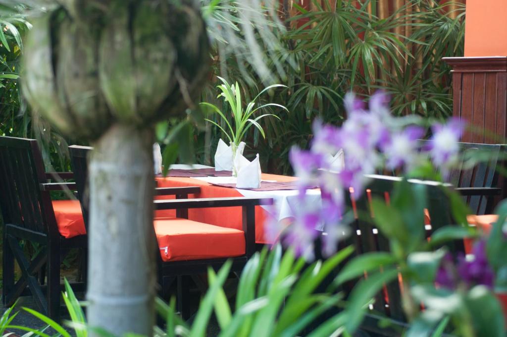 Zahrada ubytování Golden Butterfly Villa