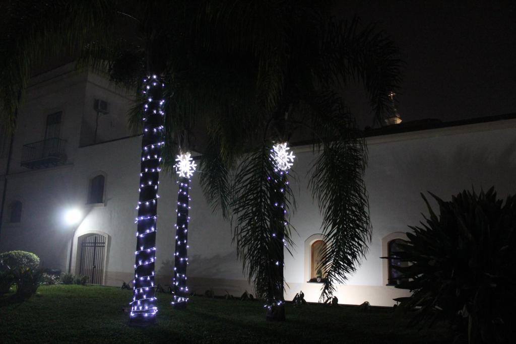Zahrada ubytování Pompei Hostel Deluxe