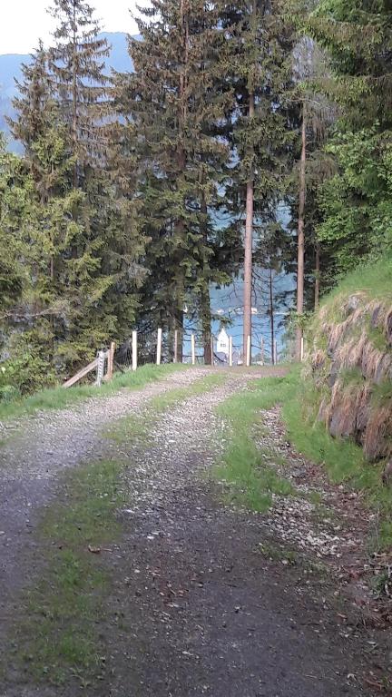 Příroda nedaleko penzionu