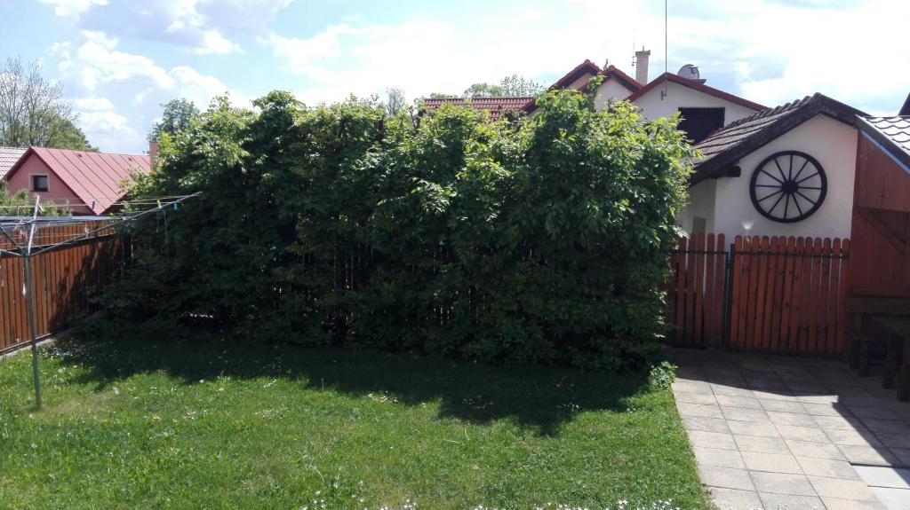 Zahrada ubytování Sifra 276