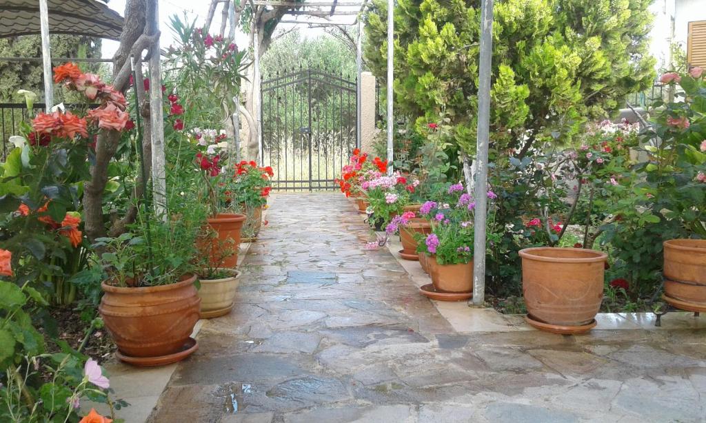 Zahrada ubytování Phaistos Country House