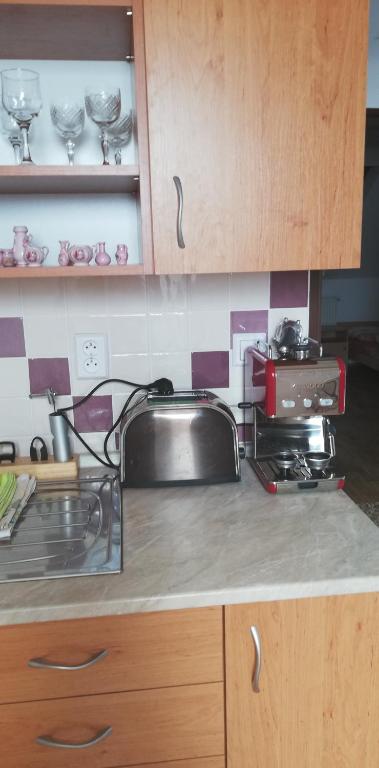 Kuchyň nebo kuchyňský kout v ubytování Apartment Vcelakov